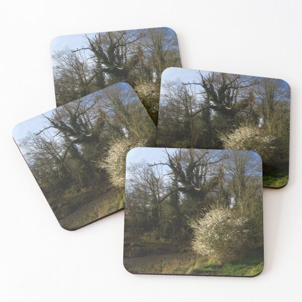 Item preview, Blackthorn Flowers & Ivy Covered Tree designed and sold by wiggyofipswich.