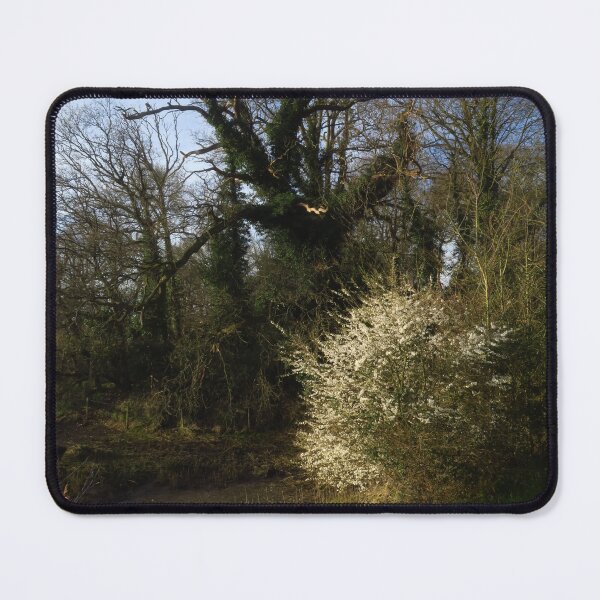 Item preview, Blackthorn Flowers & Ivy Covered Tree designed and sold by wiggyofipswich.