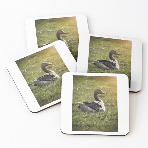 Item preview, Golden Hour Goose designed and sold by Sarah – Fine Art & Photography.