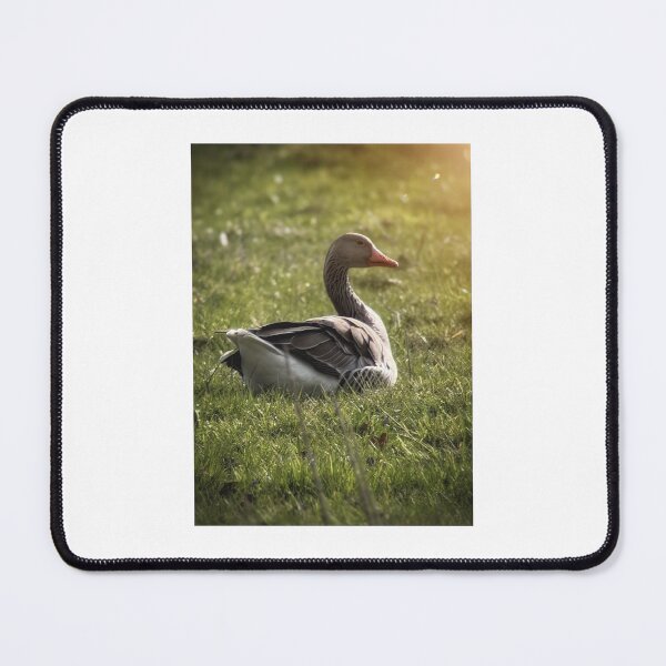 Item preview, Golden Hour Goose designed and sold by Sarah – Fine Art & Photography.