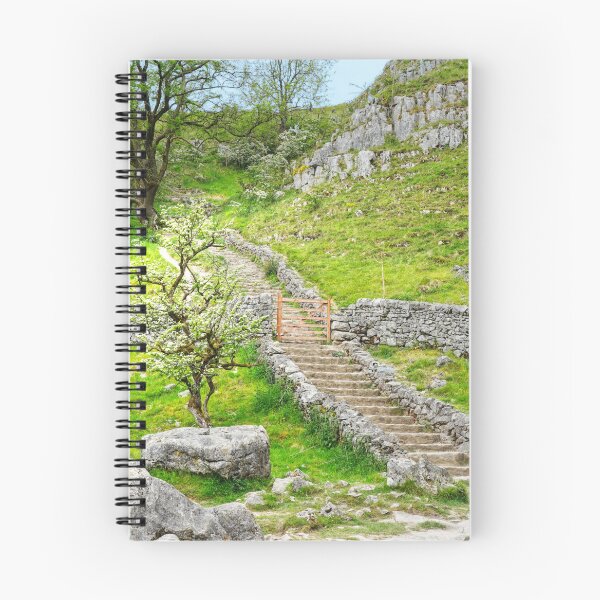 Item preview, Steps To Malham Limestone Pavement designed and sold by Alisonchambers2.