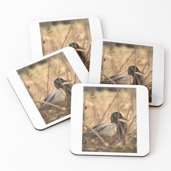 Item preview, Mallard Duck in the Reeds designed and sold by Sarah – Fine Art & Photography.