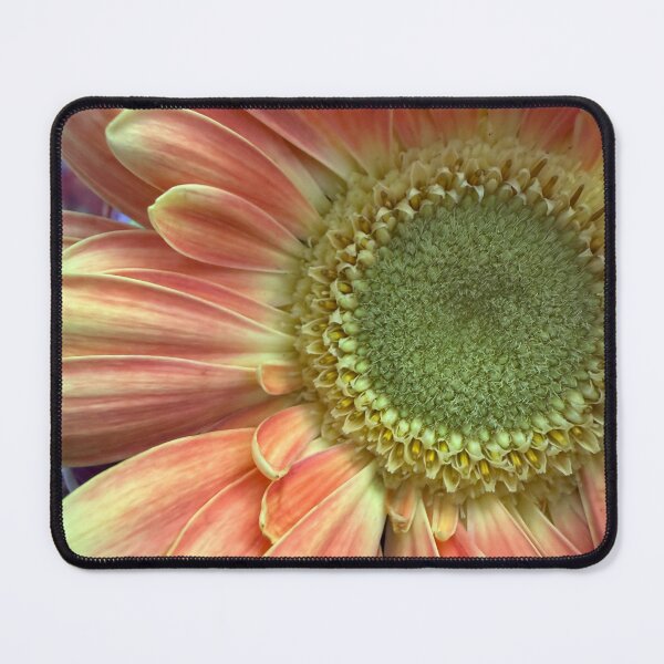 Item preview, Cheerful Bloom designed and sold by Betsy Phillips.