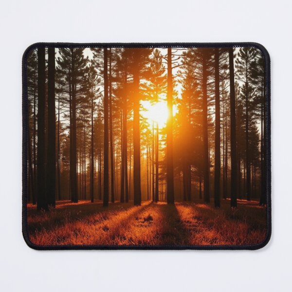 Item preview, Golden Hour Sunlight in Pine Forest designed and sold by Vida e Arte.