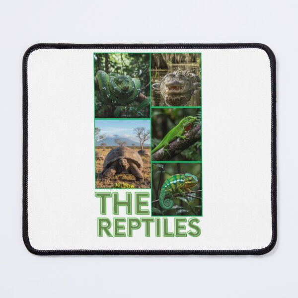 Item preview, reptiles designed and sold by LOGO IN.