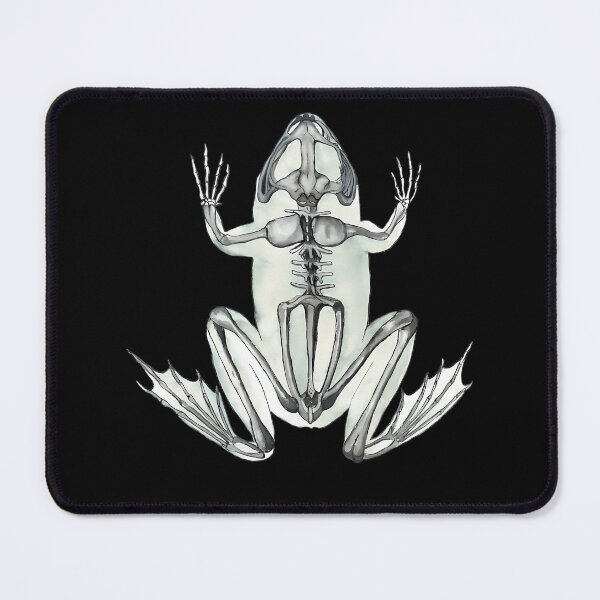 Item preview, Frog Skeleton Anatomy Illustration designed and sold by tgsqahbhsbl61.