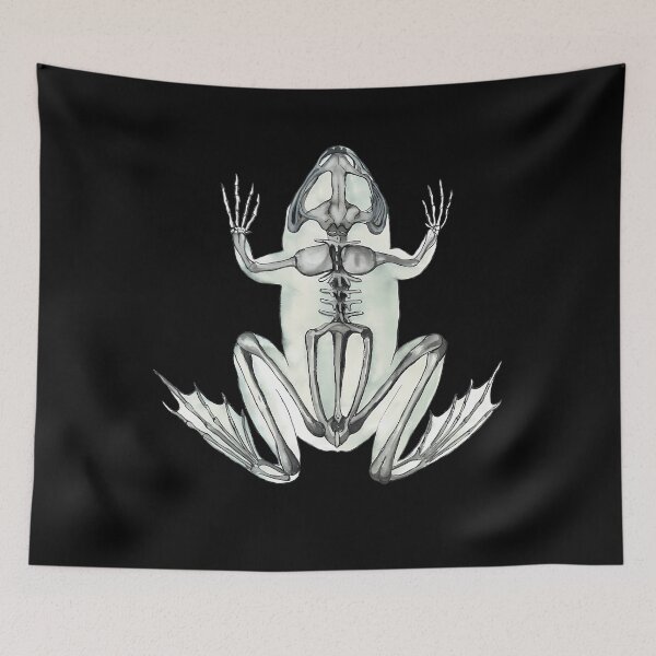 Item preview, Frog Skeleton Anatomy Illustration designed and sold by tgsqahbhsbl61.
