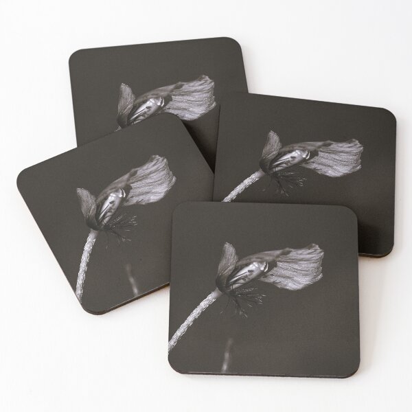 Item preview, Black/White Flower designed and sold by Deniis2204.