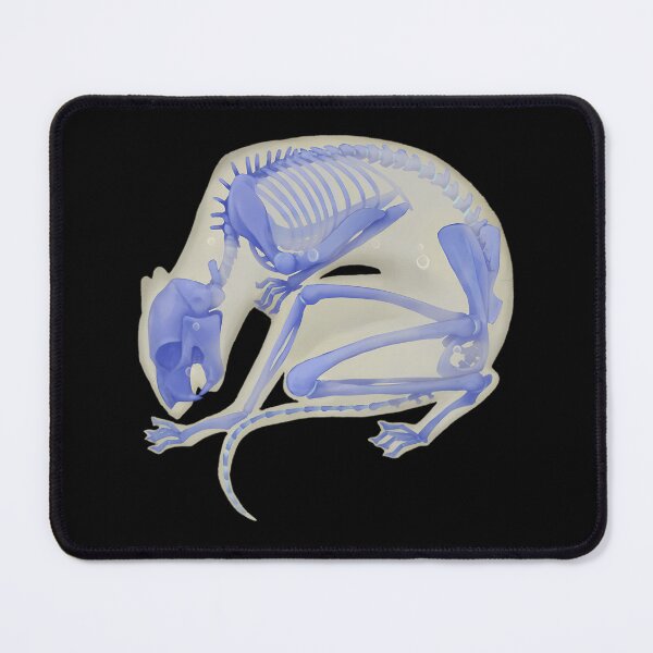 Item preview, Blue Diaphonized Rat Specimen designed and sold by tgsqahbhsbl61.