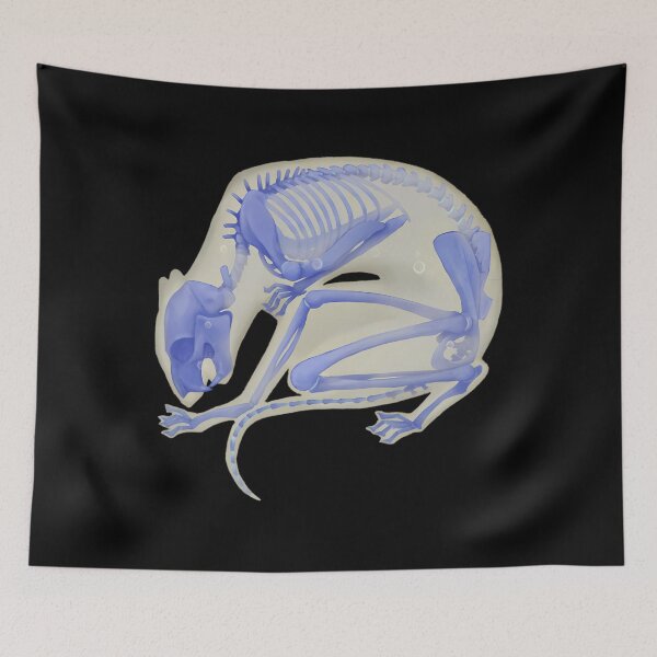 Item preview, Blue Diaphonized Rat Specimen designed and sold by tgsqahbhsbl61.