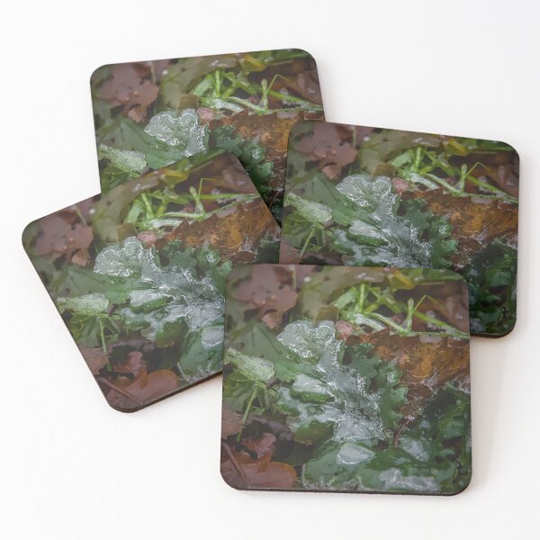 Item preview, Frozen Nature - Ice Glaze on Green Winter Leaves designed and sold by ShotsbyDesiree.