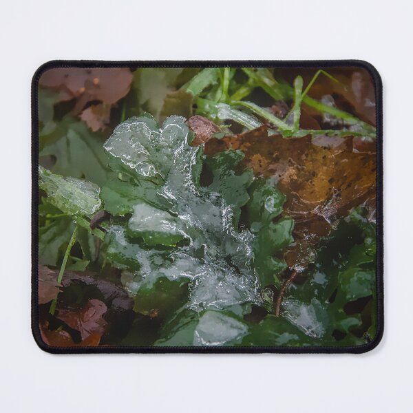 Item preview, Frozen Nature - Ice Glaze on Green Winter Leaves designed and sold by ShotsbyDesiree.
