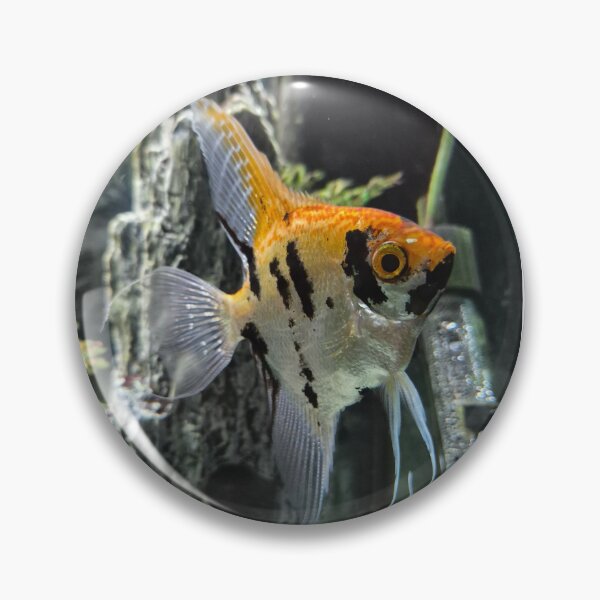 Item preview, Fish  designed and sold by Ames91.