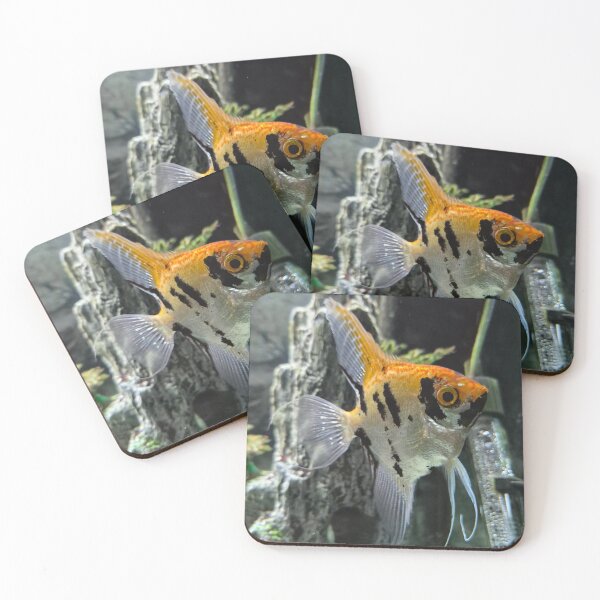 Item preview, Fish  designed and sold by Ames91.