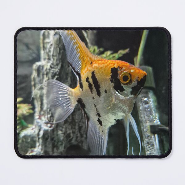 Item preview, Fish designed and sold by Ames91.