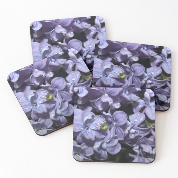 Item preview, A small green spider on a purple flower designed and sold by Deniis2204.