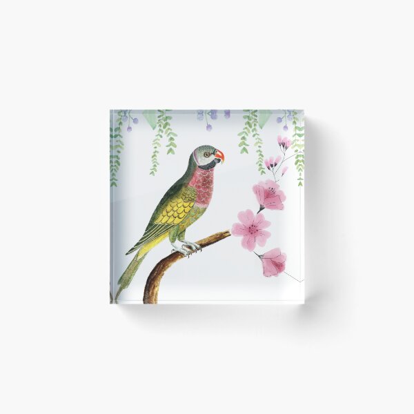 Item preview, Vintage Parrot with Pink Flowers Botanical Art designed and sold by Vega Ed.