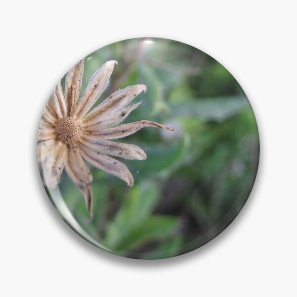 Item preview, Dried Wildflower Seed Head Close-Up in Green Grass, Macro Nature Detail and Texture designed and sold by Nmallia.