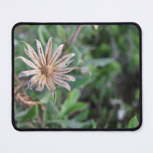 Item preview, Dried Wildflower Seed Head Close-Up in Green Grass, Macro Nature Detail and Texture designed and sold by Nmallia.