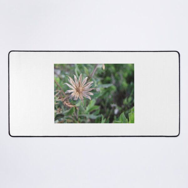 Item preview, Dried Wildflower Seed Head Close-Up in Green Grass, Macro Nature Detail and Texture designed and sold by Nmallia.
