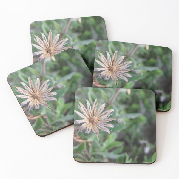 Item preview, Dried Wildflower Seed Head Close-Up in Green Grass, Macro Nature Detail and Texture designed and sold by Nmallia.