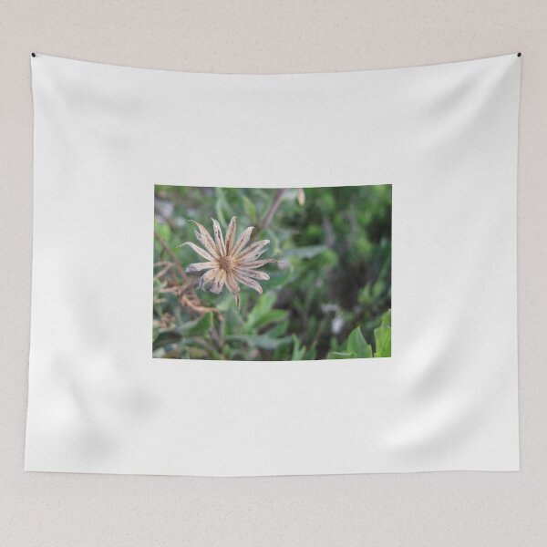 Item preview, Dried Wildflower Seed Head Close-Up in Green Grass, Macro Nature Detail and Texture designed and sold by Nmallia.