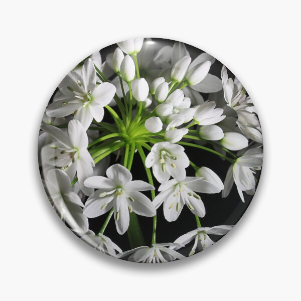 Item preview, Wild garlic designed and sold by Paul Pasco.