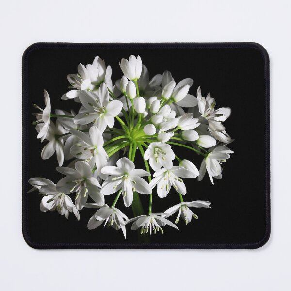 Item preview, Wild garlic designed and sold by Paul Pasco.