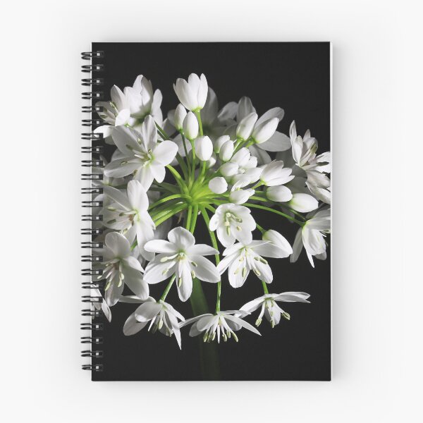 Item preview, Wild garlic designed and sold by Paul Pasco.