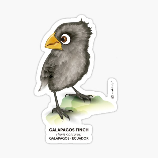 Galápagos Finch Sticker
