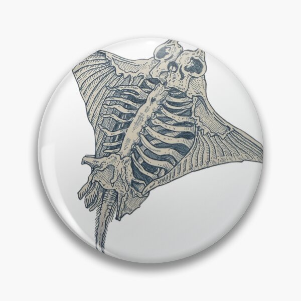 Item preview, Skeleton Stingray designed and sold by meagzgordon.