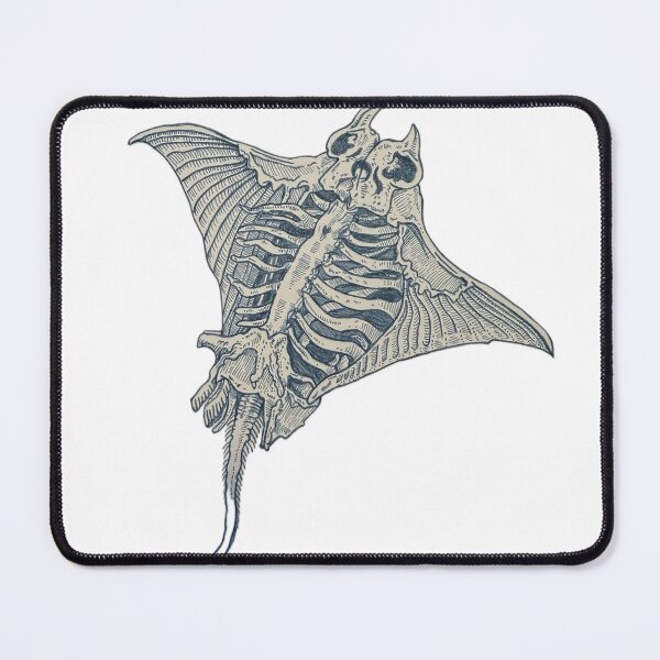 Item preview, Skeleton Stingray designed and sold by meagzgordon.