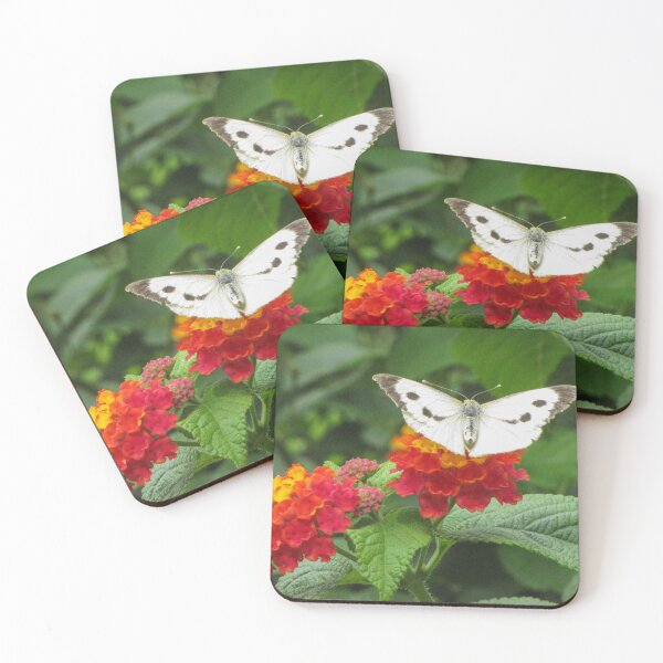 Item preview, White Butterfly Feeding on Red and Yellow Lantana Flowers in Green Garden Close-Up designed and sold by Nmallia.