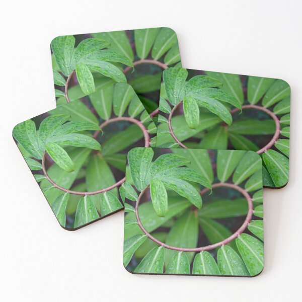 Item preview, Natural Spiral Pattern of Tropical Green Leaves with Water Drops designed and sold by LRPhotoart.