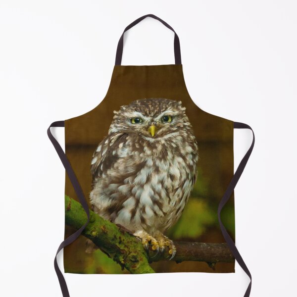 Item preview, Little Owl Gaze designed and sold by Dalyndigital Photography.