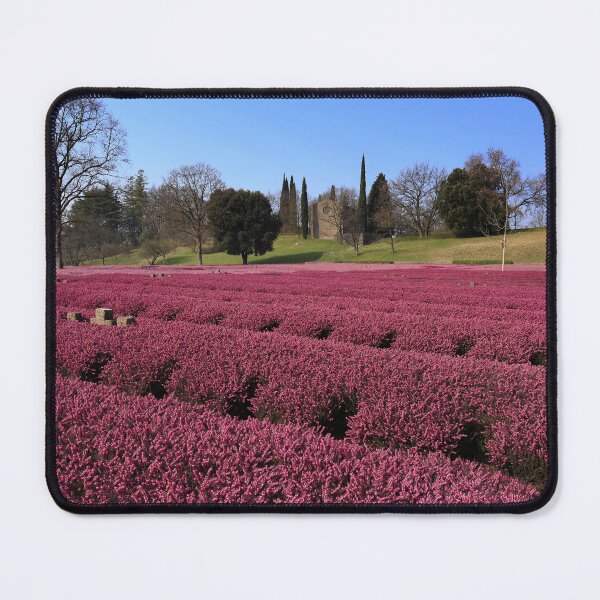 Item preview, The German military cemetery designed and sold by annalisa56.