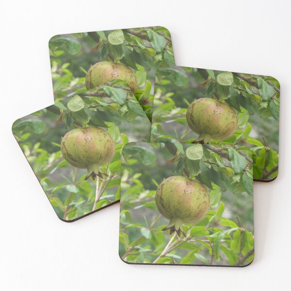 Item preview, Green Pomegranate Hanging On Branch Of Fruit Tree Surrounded By Leaves In Garden Close-Up designed and sold by Nmallia.