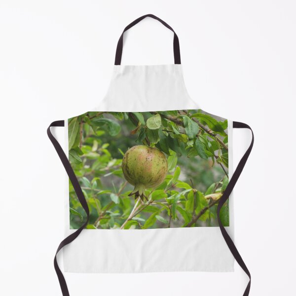 Item preview, Green Pomegranate Hanging On Branch Of Fruit Tree Surrounded By Leaves In Garden Close-Up designed and sold by Nmallia.