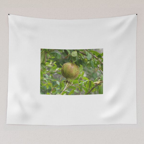 Item preview, Green Pomegranate Hanging On Branch Of Fruit Tree Surrounded By Leaves In Garden Close-Up designed and sold by Nmallia.