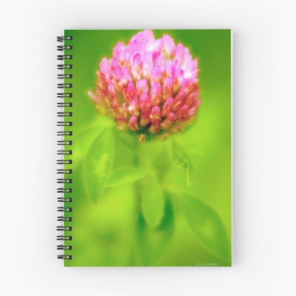 Item preview, Red Clover Flower in Hazy Sunlight designed and sold by AMacGPhilly.