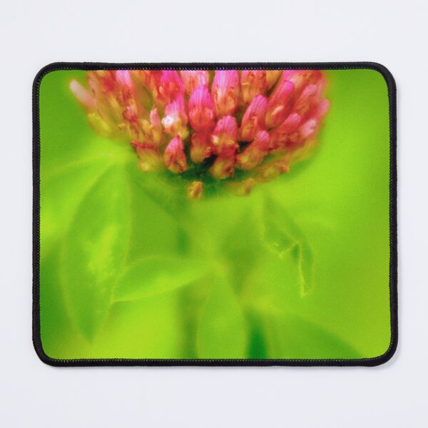Item preview, Red Clover Flower in Hazy Sunlight designed and sold by AMacGPhilly.