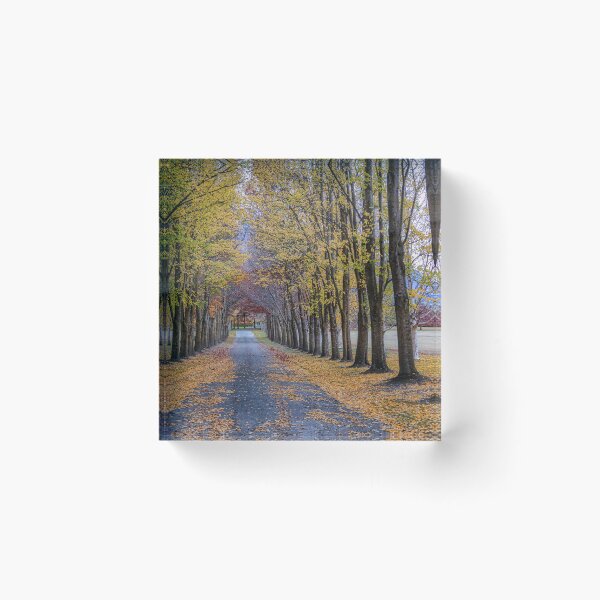 Item preview, TreeLined designed and sold by Lynn Snow Images.