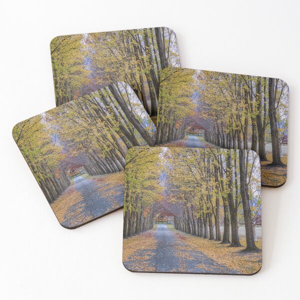 Item preview, TreeLined designed and sold by Lynn Snow Images.