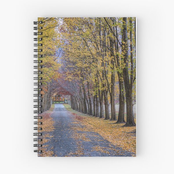 Item preview, TreeLined designed and sold by Lynn Snow Images.