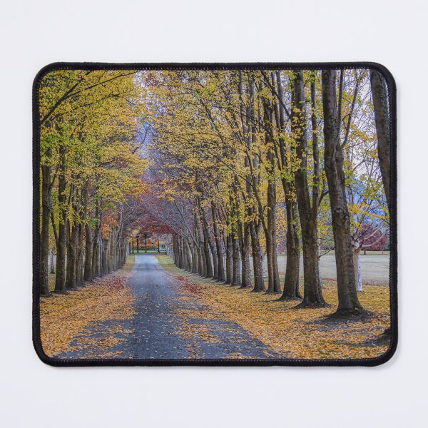 Item preview, TreeLined designed and sold by Lynn Snow Images.