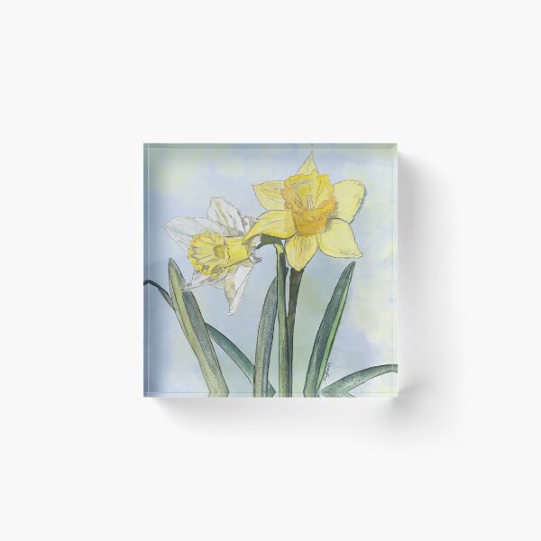 Item preview, Watercolour Daffodils to Welcome in the Spring designed and sold by ESIKCreates.