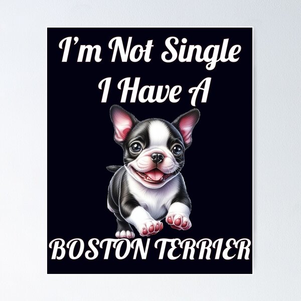 Item preview, Dog Owner I'm Not Single I Have A Boston Terrier Art Design designed and sold by fantasticdesign.