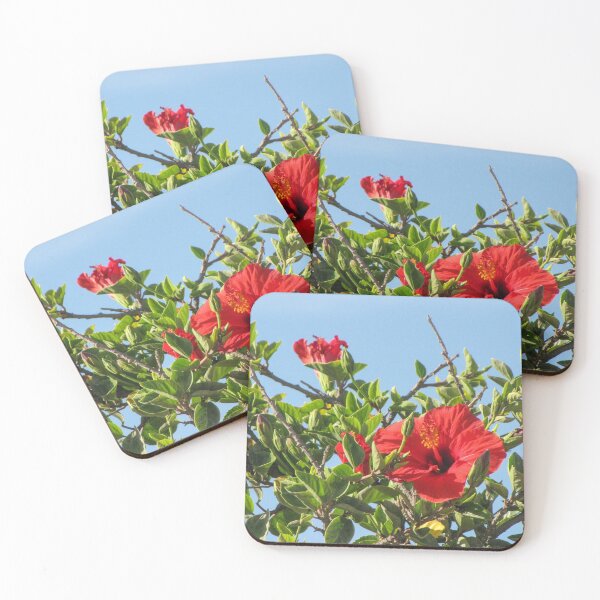 Item preview, Vibrant Red Hibiscus Blossom On Green Shrub Branches Against Clear Blue Sky Close-Up designed and sold by Nmallia.