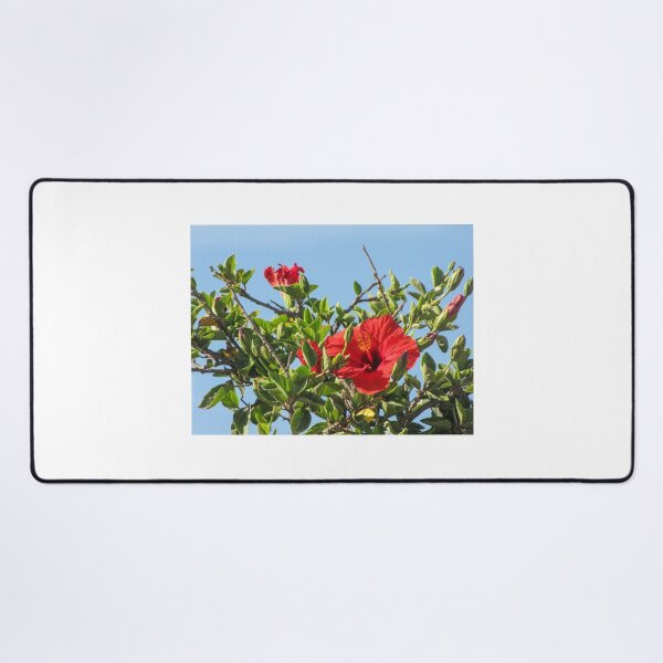 Item preview, Vibrant Red Hibiscus Blossom On Green Shrub Branches Against Clear Blue Sky Close-Up designed and sold by Nmallia.
