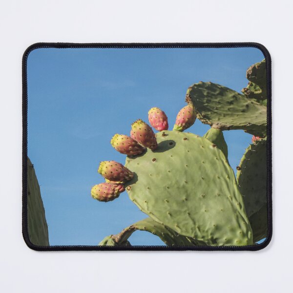 Item preview, Prickly Pear Cactus With Ripening Fruit Against Clear Blue Sky, Desert Plant Close-Up designed and sold by Nmallia.